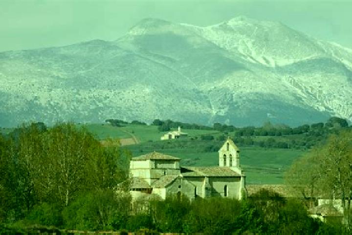 Escorts Olmos de Ojeda, Spain — Local Companions