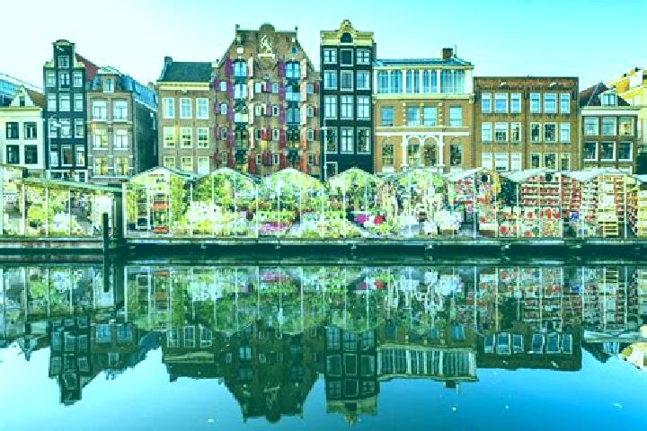 Escorts Ommelanderwijk, Netherlands — Local Companions