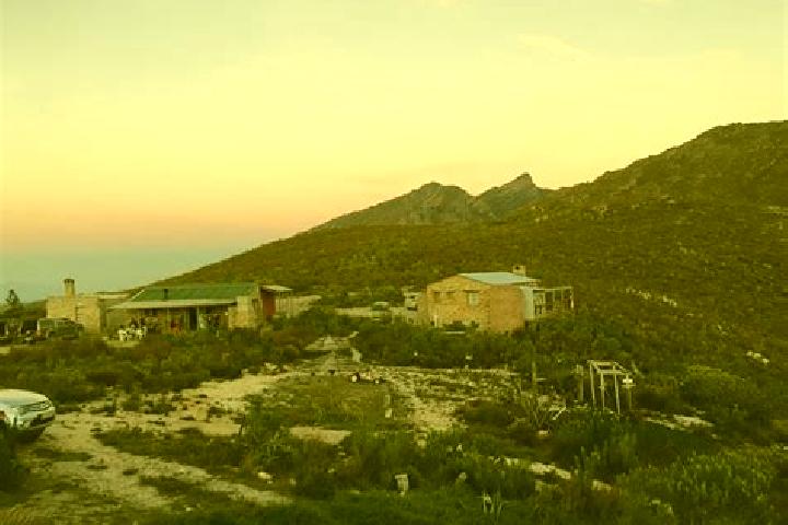 Escorts Onverwacht, South Africa — Local Companions