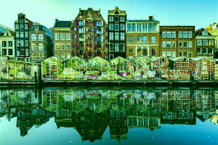 Escorts Oog in Al, Netherlands — Local Companions