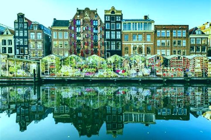 Escorts Oosteind, Netherlands — Local Companions