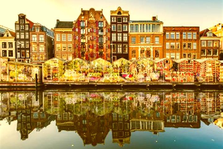 Escorts Oostendorp, Netherlands — Local Companions