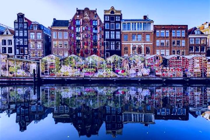Escorts Oostwold, Netherlands — Local Companions