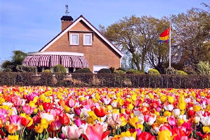 Escorts Oppenhuizen, Netherlands — Local Companions