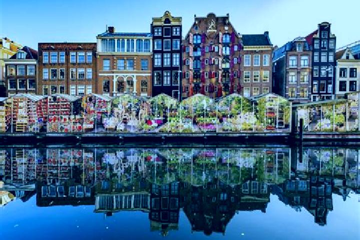 Escorts Opperduit, Netherlands — Local Companions