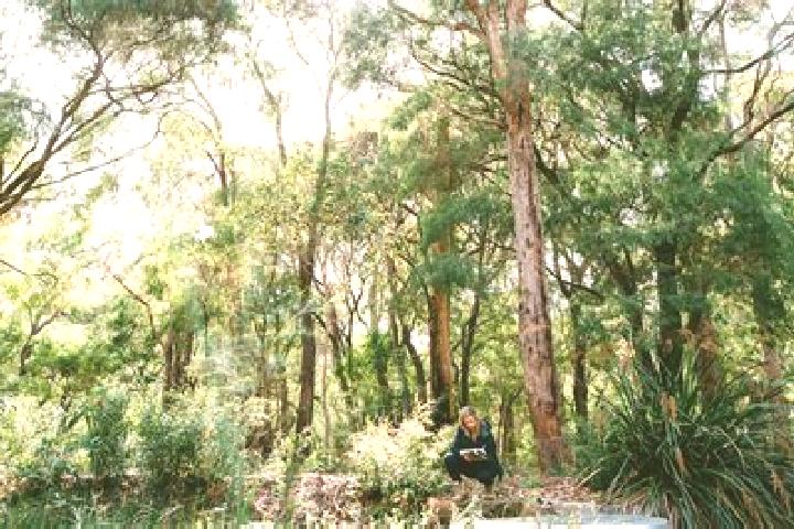 Escorts Orbost, Australia — Local Companions