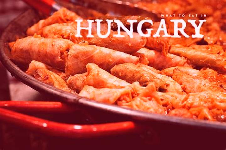 Escorts Orczynegyed, Hungary — Local Companions