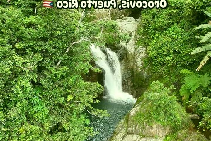 Escorts Orocovis, Puerto Rico — Local Companions