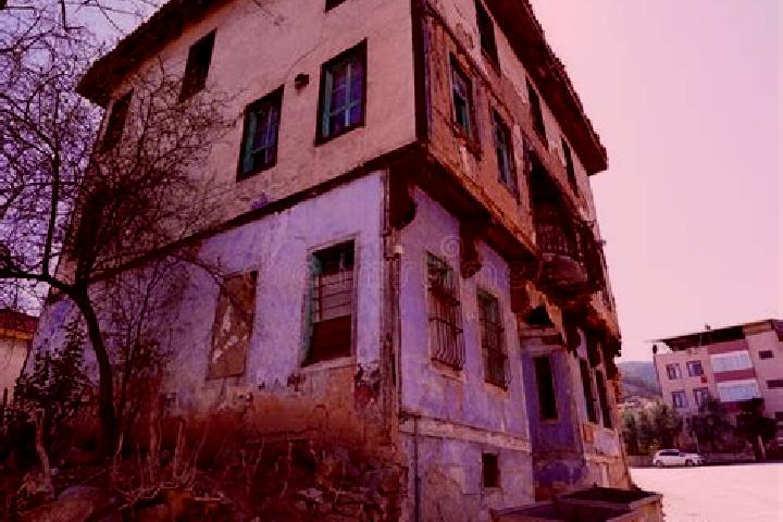 Escorts Osmaneli, Turkey — Local Companions