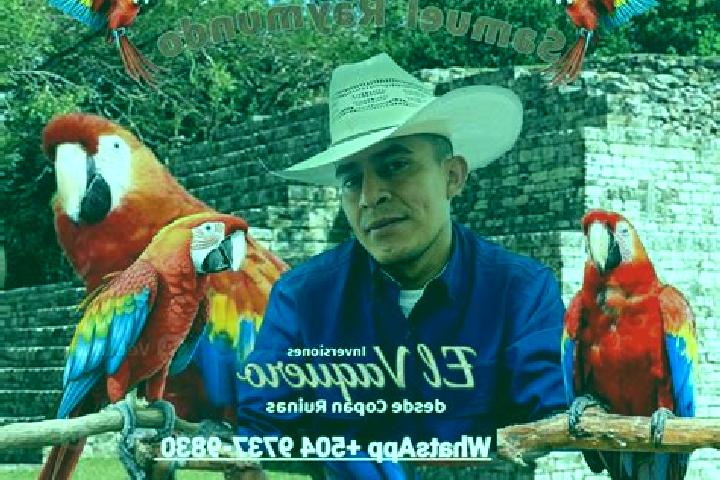 Escorts Ostuman, Honduras — Local Companions