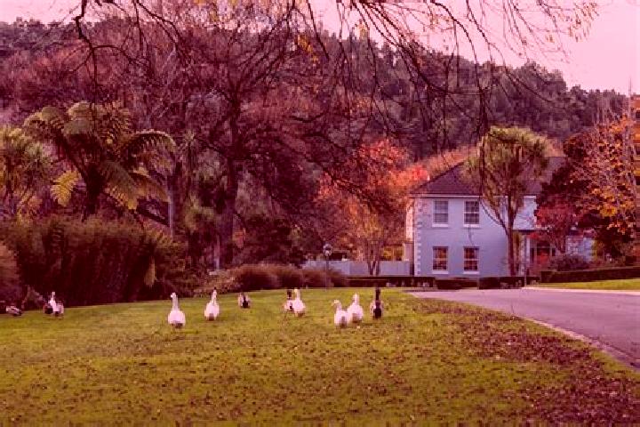 Escorts Oteha Valley, New Zealand — Local Companions