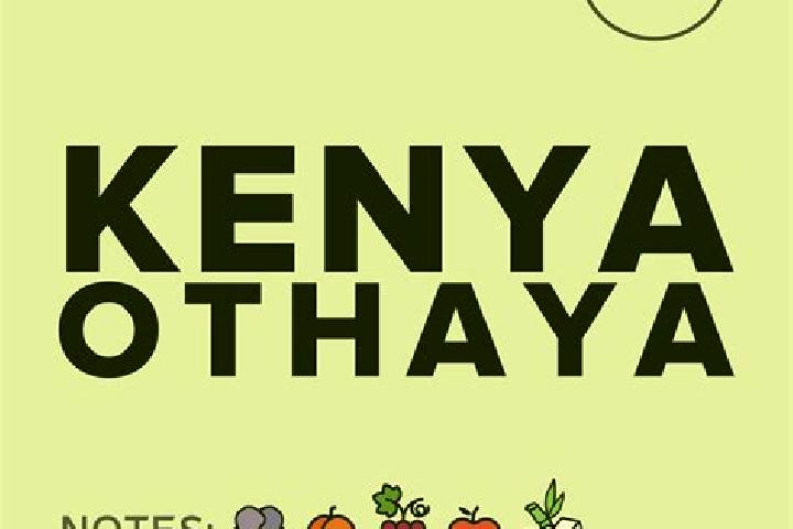 Escorts Othaya, Kenya — Local Companions