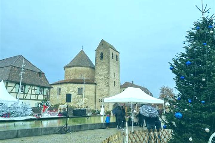 Escorts Ottmarsheim, France — Local Companions