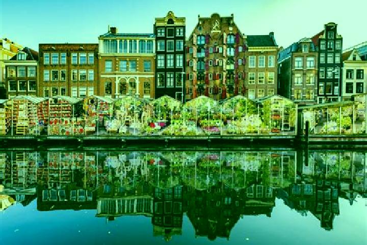 Escorts Ouddorp, Netherlands — Local Companions