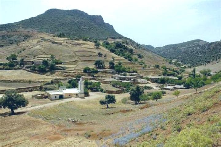 Escorts Oued Amlil, Morocco — Local Companions
