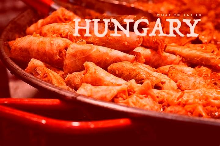 Escorts Ozora, Hungary — Local Companions