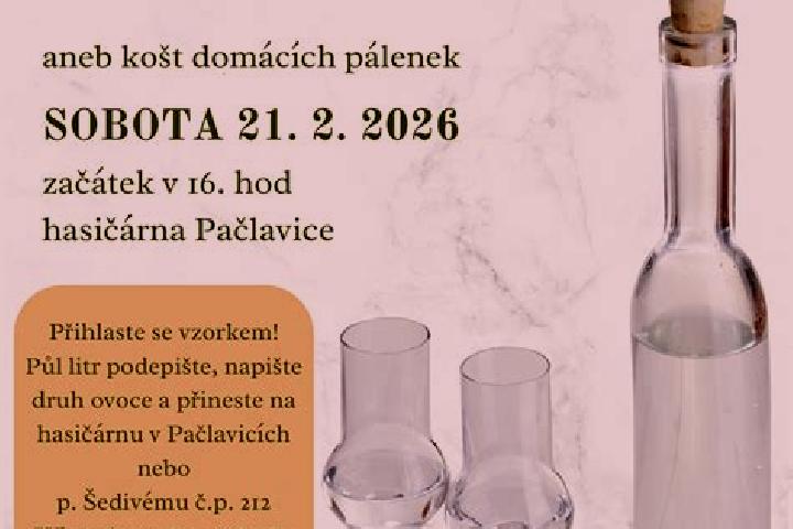 Escorts Paclavice, Czech Republic — Local Companions