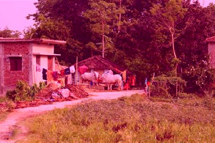 Escorts Paddhari, India — Local Companions