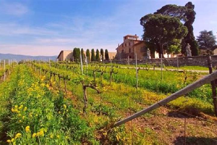 Escorts Paderno Franciacorta, Italy — Local Companions
