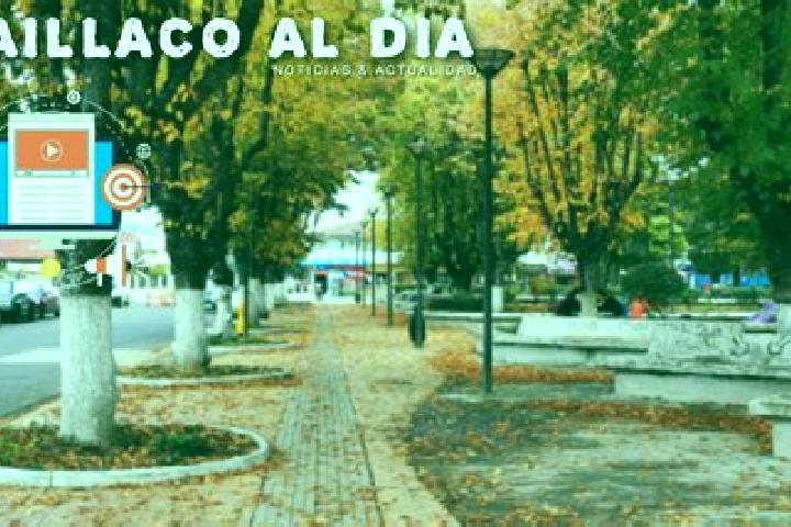 Escorts Paillaco, Chile — Local Companions