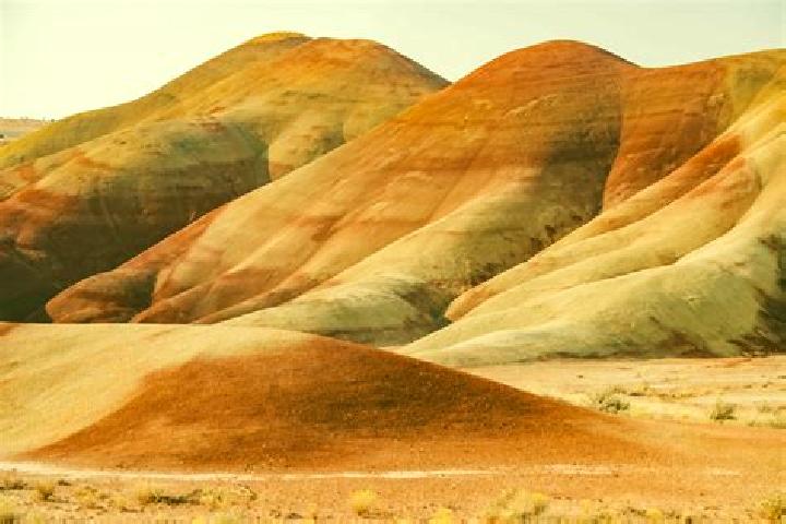 Escorts Painted Hills, United States — Local Companions