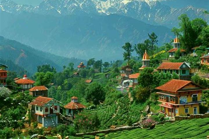 Escorts Palampur, India — Local Companions