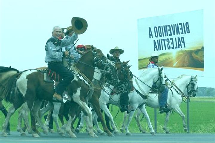 Escorts Palestina, Ecuador — Local Companions