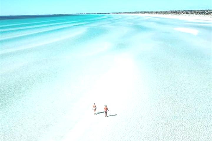 Escorts Palm Beach, Australia — Local Companions
