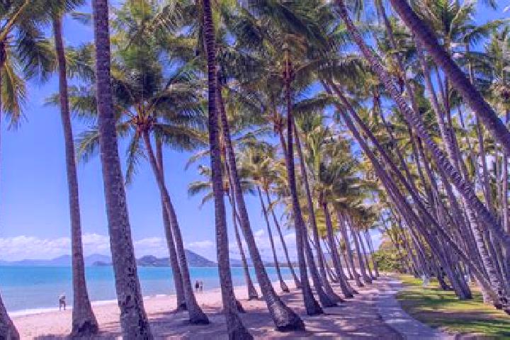Escorts Palm Cove, Australia — Local Companions