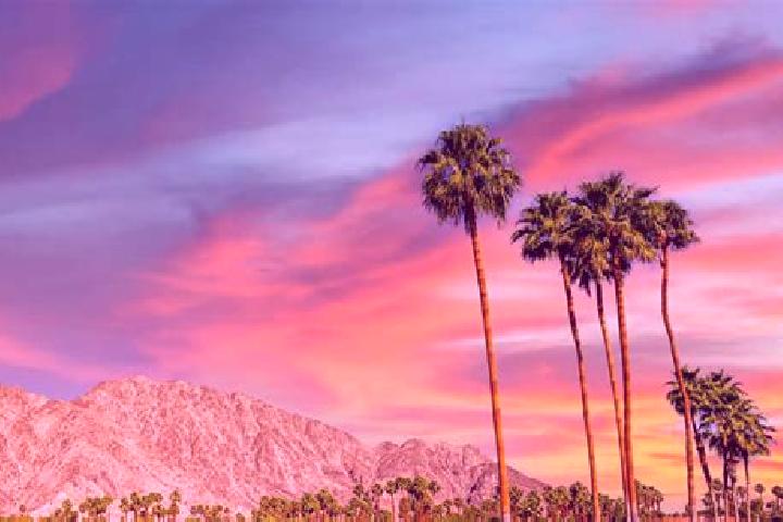 Escorts Palm Desert, United States — Local Companions