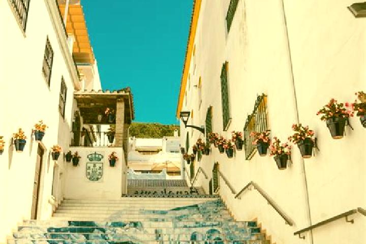 Escorts Palmanova, Spain — Local Companions