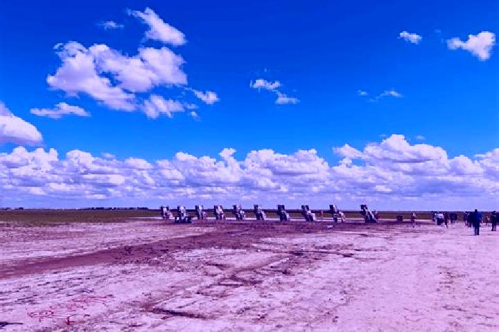Escorts Palo Amarillo, Mexico — Local Companions