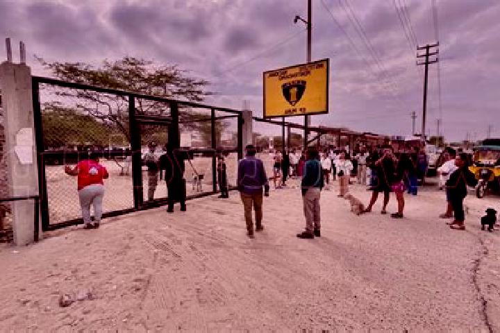 Escorts Palo Seco, Peru — Local Companions