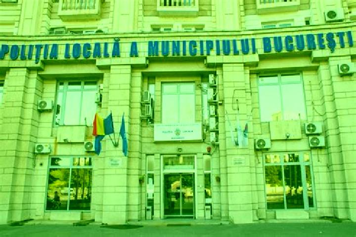 Escorts Paltinata, Romania — Local Companions