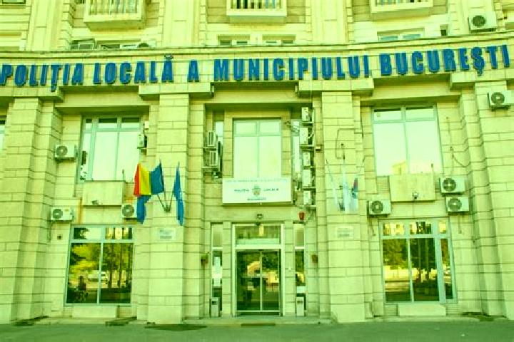 Escorts Paltineni, Romania — Local Companions