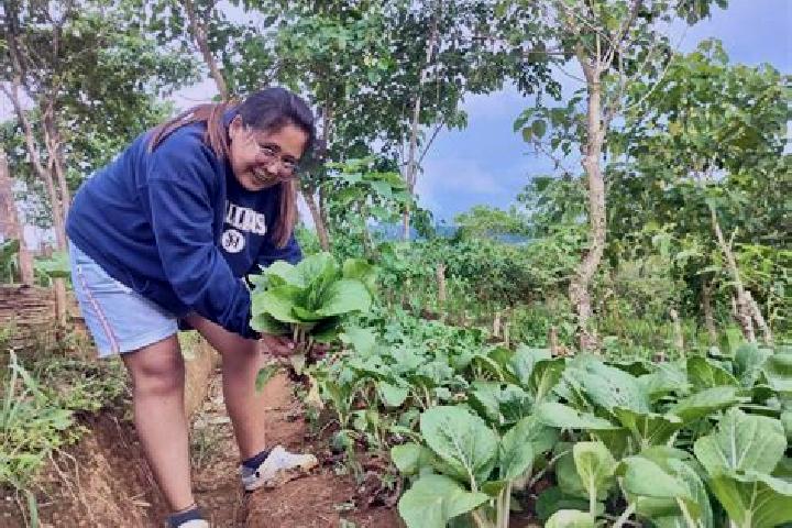 Escorts Pambuhan, Philippines — Local Companions