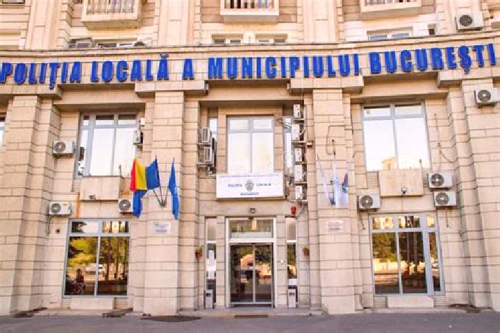 Escorts Panaci, Romania — Local Companions
