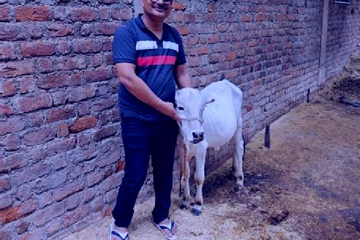 Escorts Panth Piplia, India — Local Companions