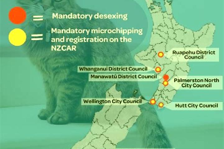 Escorts Papanui, New Zealand — Local Companions