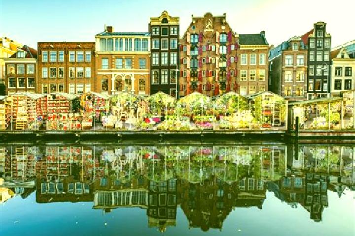 Escorts Papendrecht, Netherlands — Local Companions