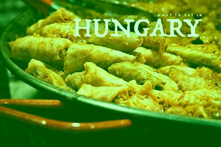 Escorts Papos, Hungary — Local Companions