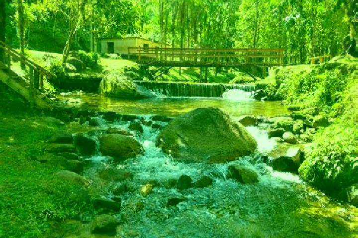 Escorts Paraiso das Aguas, Brazil — Local Companions