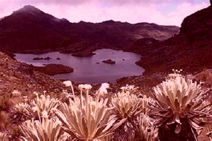 Escorts Paramo de Morelos, Mexico — Local Companions