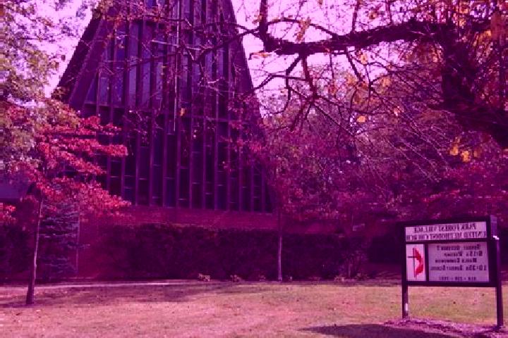 Escorts Park Forest Village, United States — Local Companions