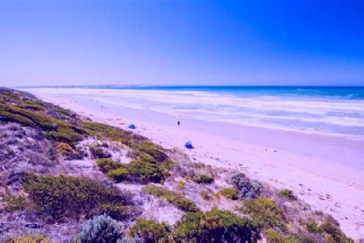 Escorts Park Grove, Australia — Local Companions