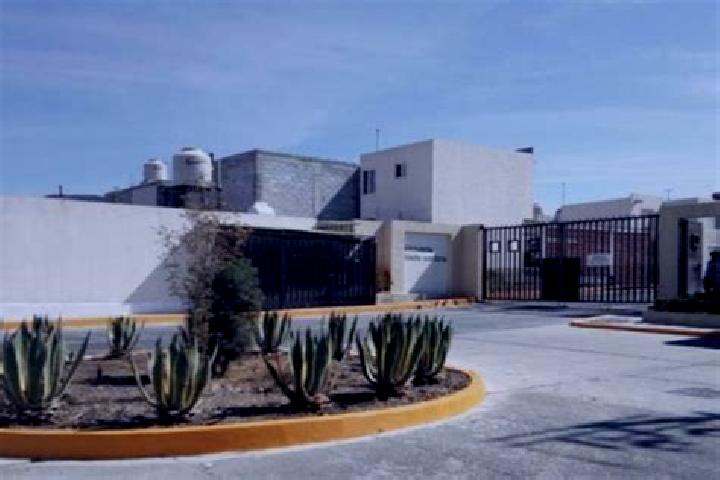 Escorts Paseos de la Pradera, Mexico — Local Companions