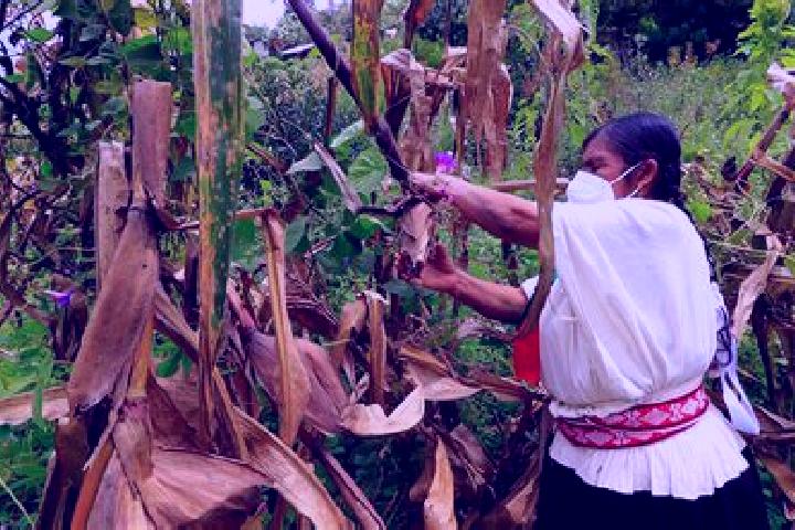 Escorts Paso de la Milpa, Mexico — Local Companions