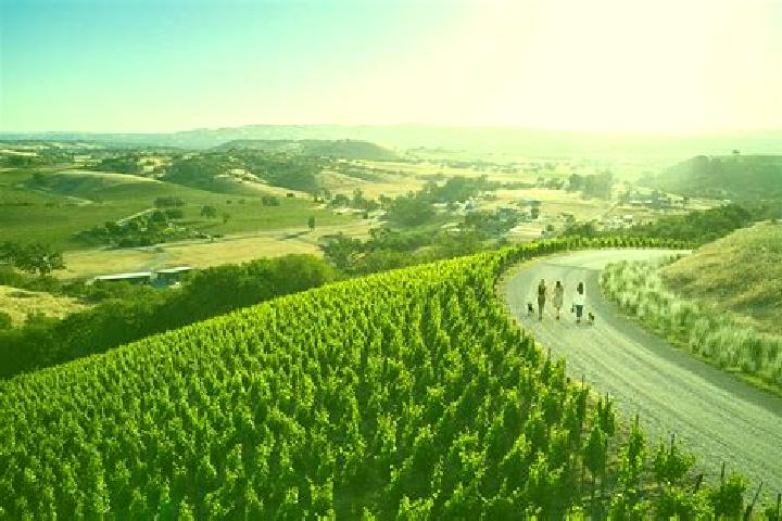 Escorts Paso Robles, United States — Local Companions