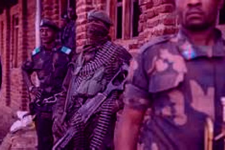 Escorts Pepa, DR Congo — Local Companions