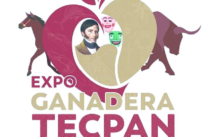 Escorts Perez de Galeana, Mexico — Local Companions